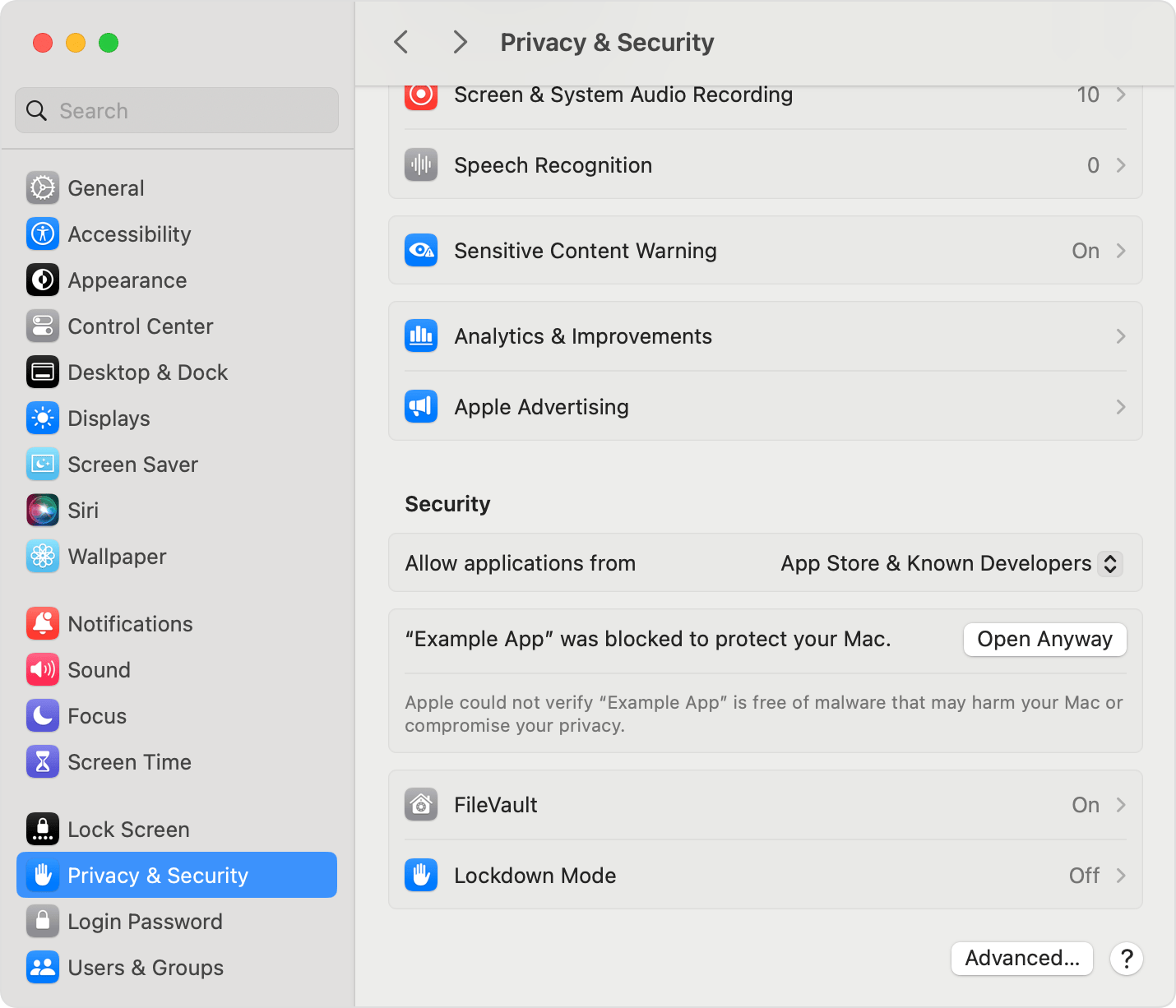 Actual macOS System Settings - Privacy & Security